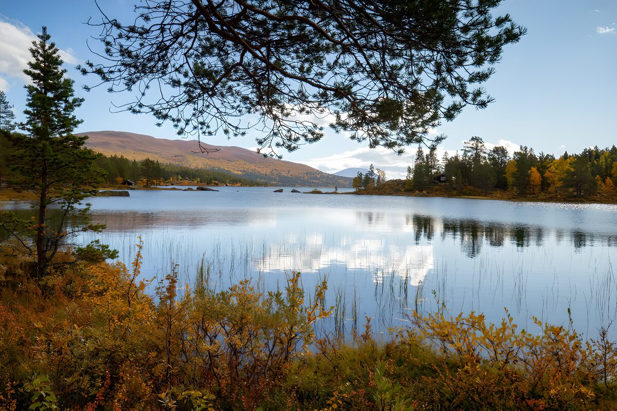 Herfstmeer met bos en heuvels