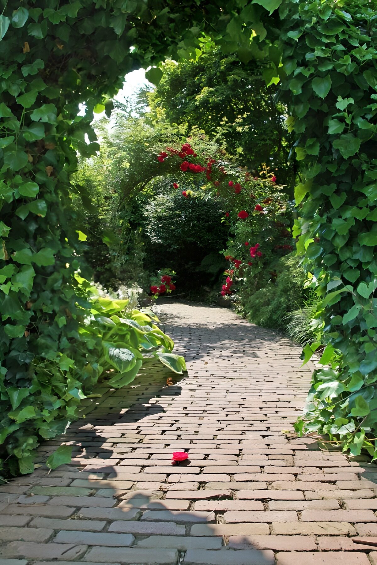 Klinkerpad onder groene bogen