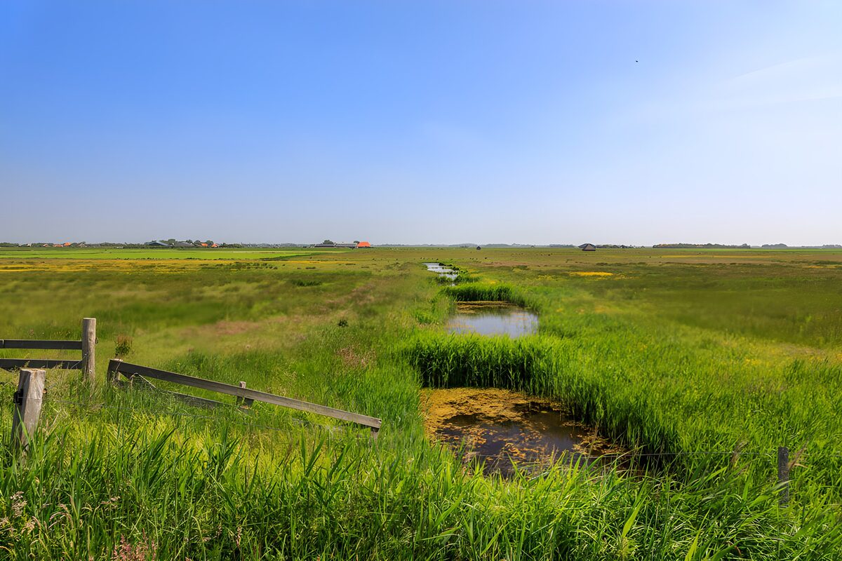 Groene weiden onder een blauwe lucht