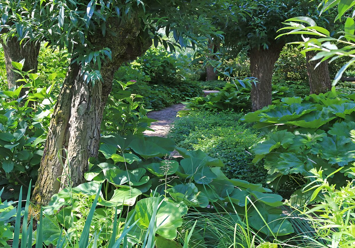 Tuinpad tussen bomen en grote bladeren