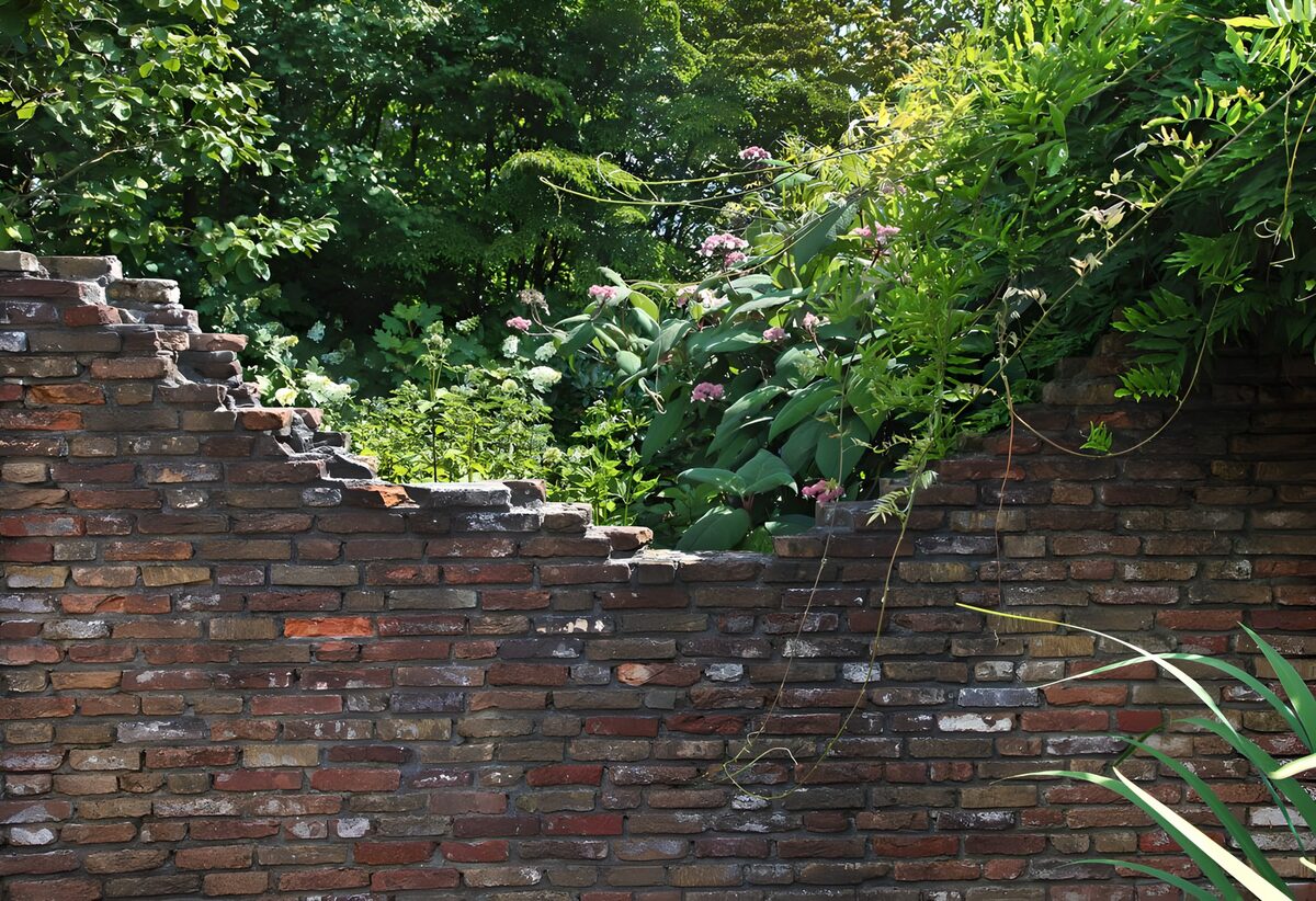 Oude bakstenen muur in een wilde tuin