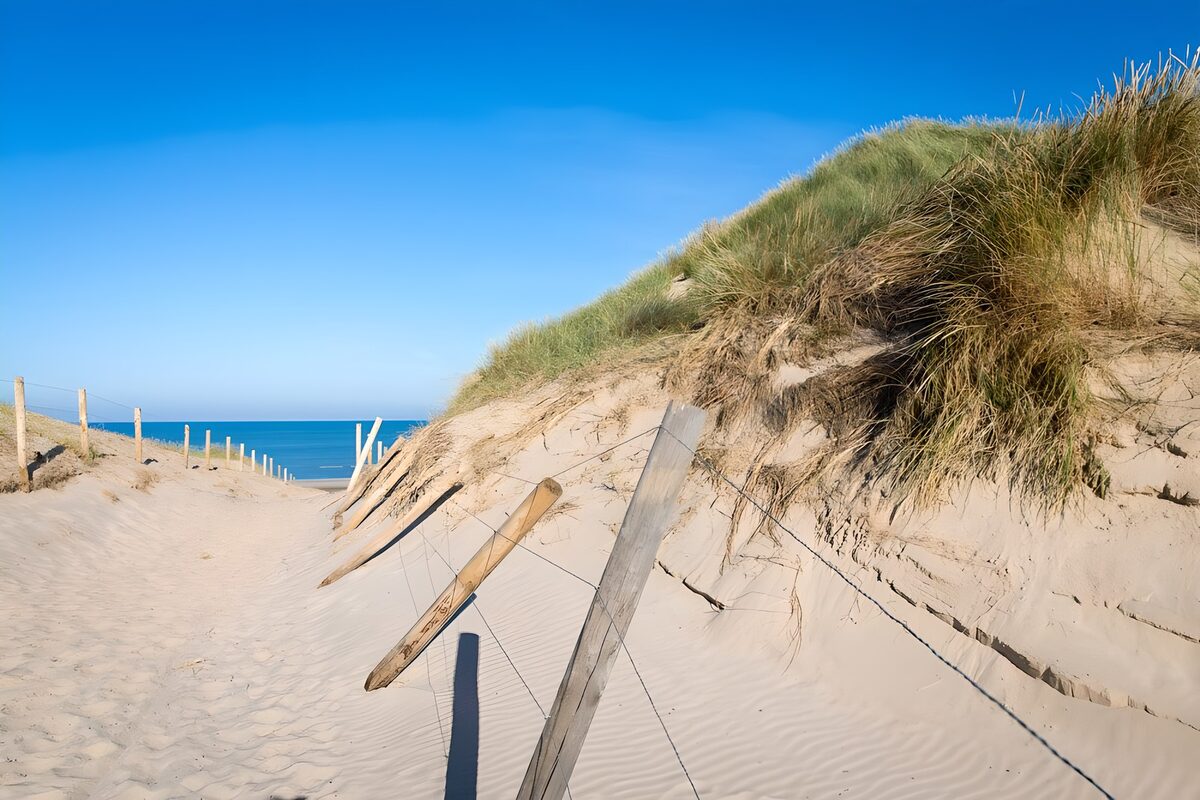 Tussen duingras wacht de zee