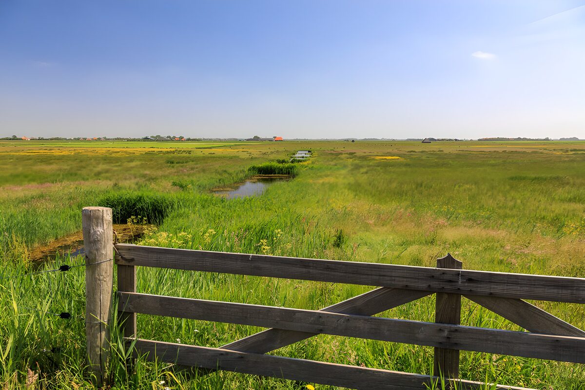 Houten hek voor een weidse grasvlakte