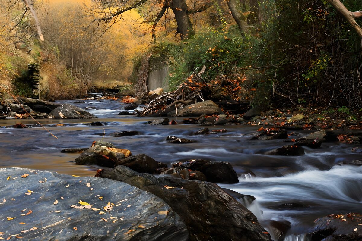Gouden herfst langs zilveren water