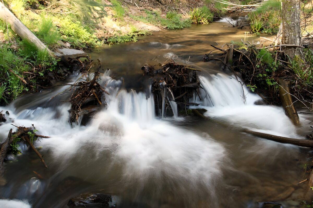 Wit water tussen groene oevers