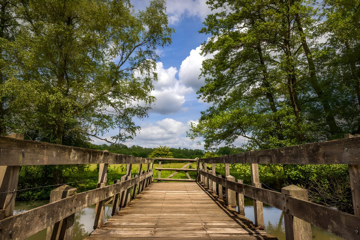 Houten brug onder een blauwe lucht
