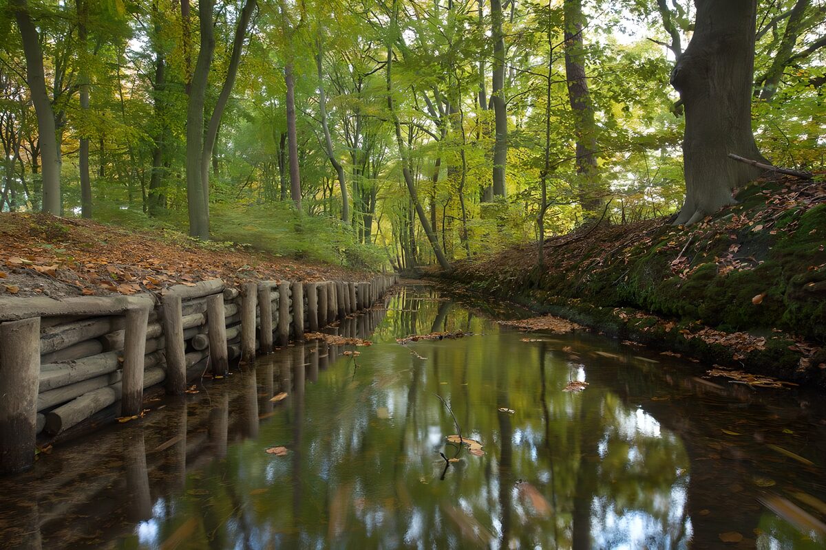Bosbeek met houten oever in herfstlicht