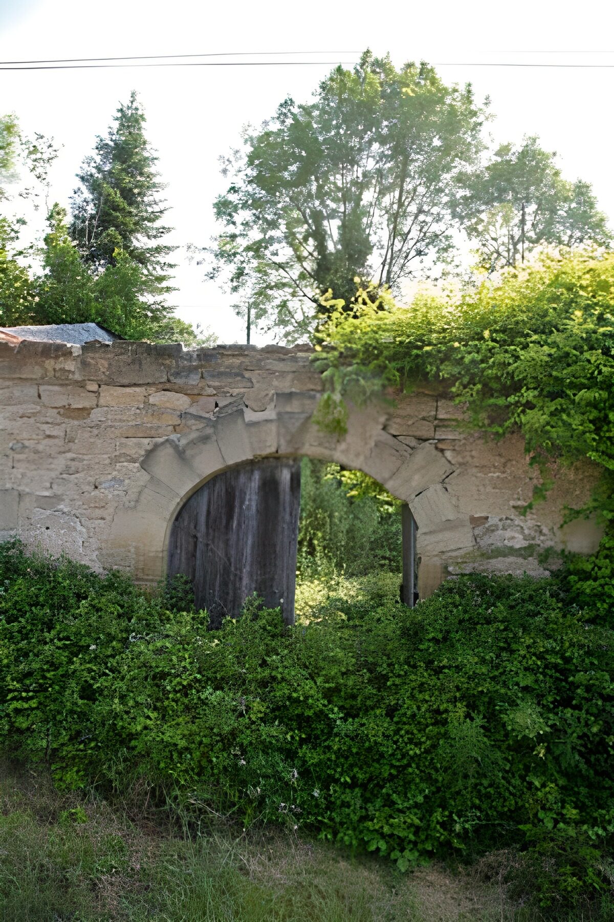 Oude stenen poort tussen het groen