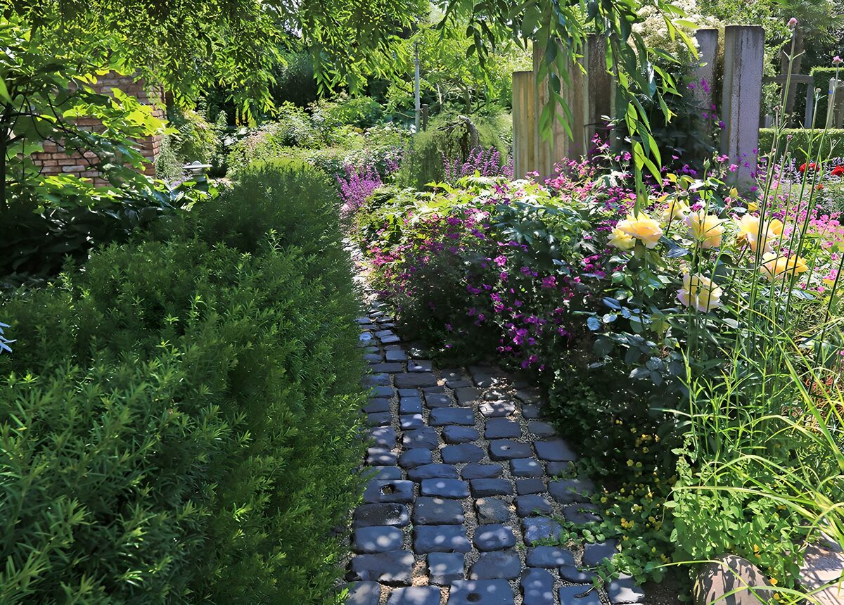 Slingerpad tussen groen en gele rozen