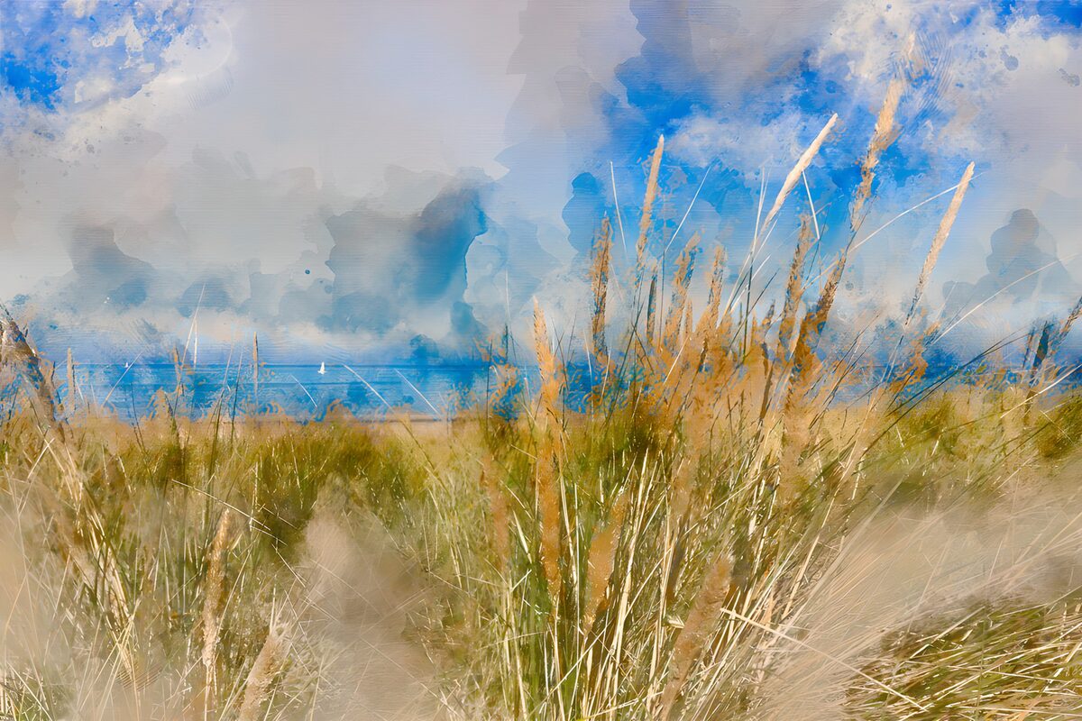 Waar het duingras de wolken raakt