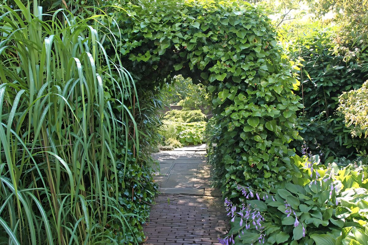 Tuinpad onder een groene boog