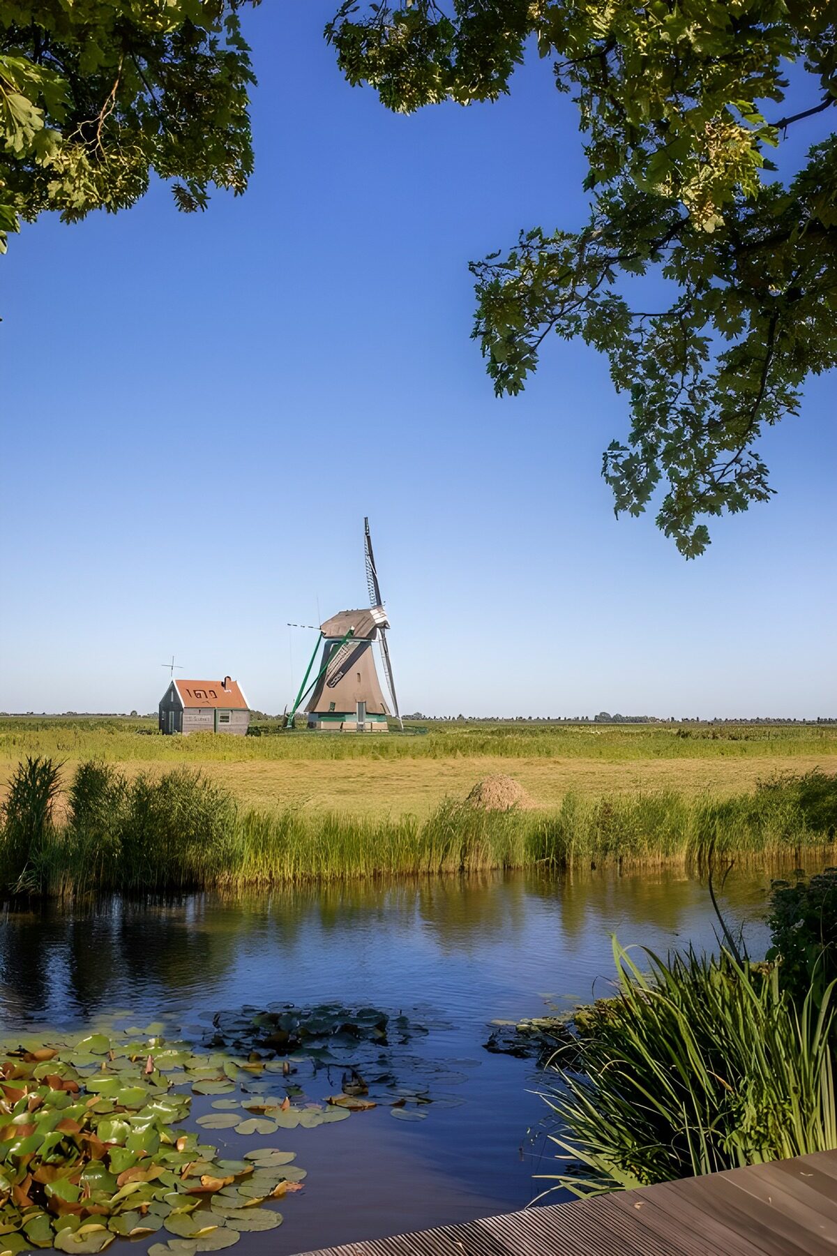Molen en huis aan de zomerse sloot
