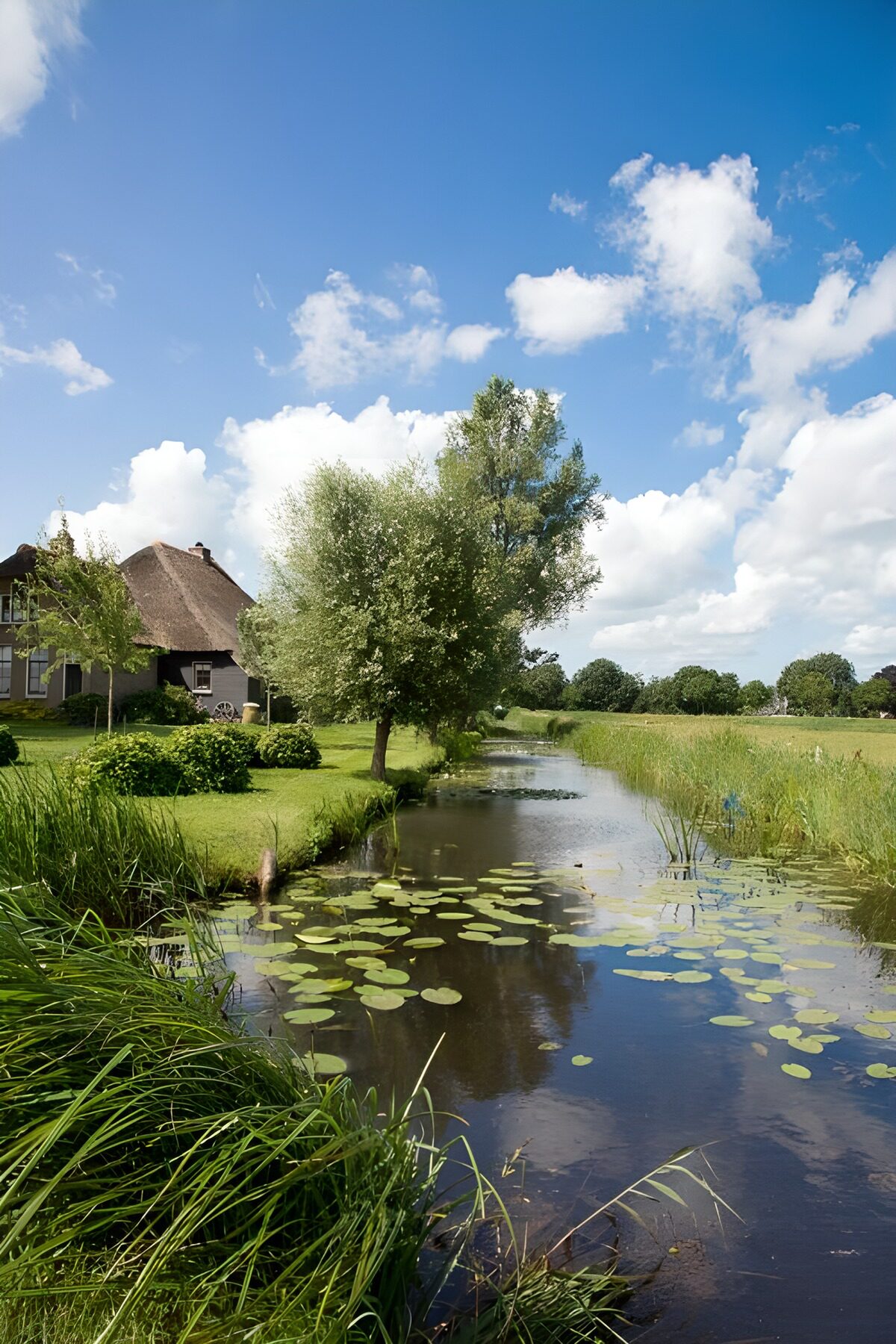 Sloot met waterlelies en een rieten dak